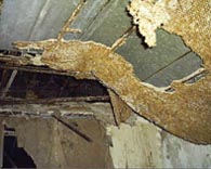 Asbestos Abatement